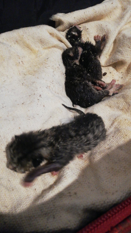 46DB38B5-0603-498F-9BB2-0727505104A5