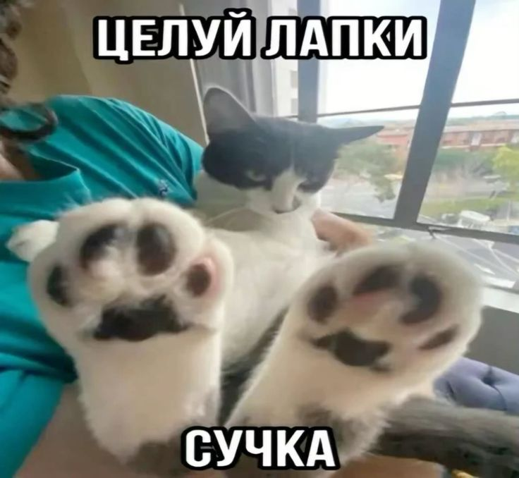 2025-04-27-170007845.png