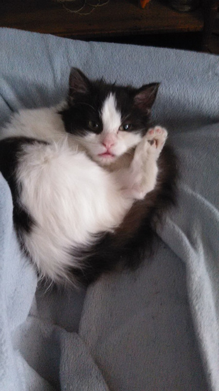 IMG_20150117_100834_zpsdtfhppmd