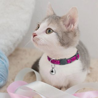 Cat with breakaway glitter collar