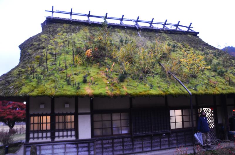 Saiko Iyashi no Sato Nenba-16-11-2024 - Japón y sus Pueblos-2024 (30)