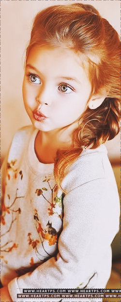 ���� ���� ������ �� ���� ������