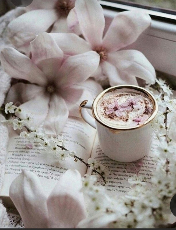 Screenshot_20230322_230759_Pinterest