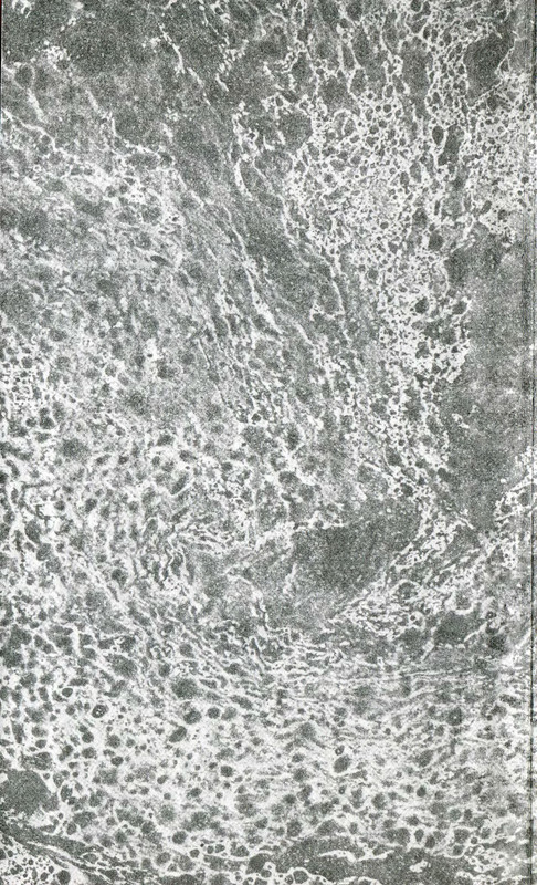 p0002
