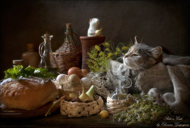 11202859-584684618301672-2336559613734150610-n