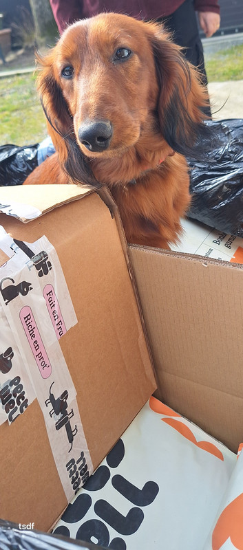 [Image: 20250303-134221.jpg]