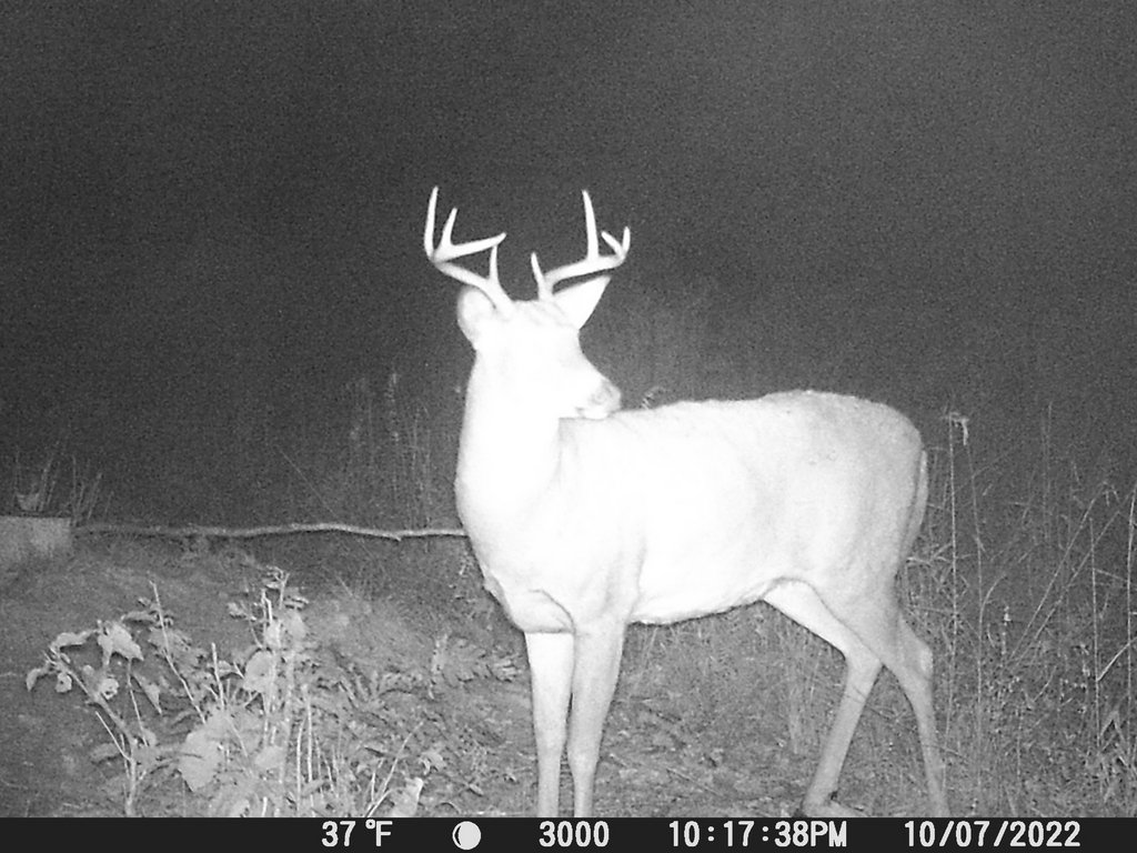 EDF4B282-D1A2-4EA3-836D-405A0B88B09F