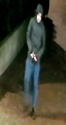    Polizei Hessen - Versuchter Mord - Elektroroller auf Streifenwagen geworfen - Frankfurt