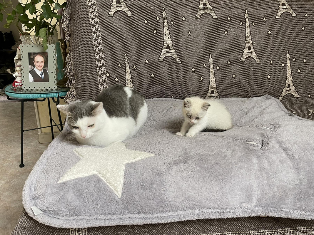 IMG-5a70028adbbe1114e4d319042357e3eb-V