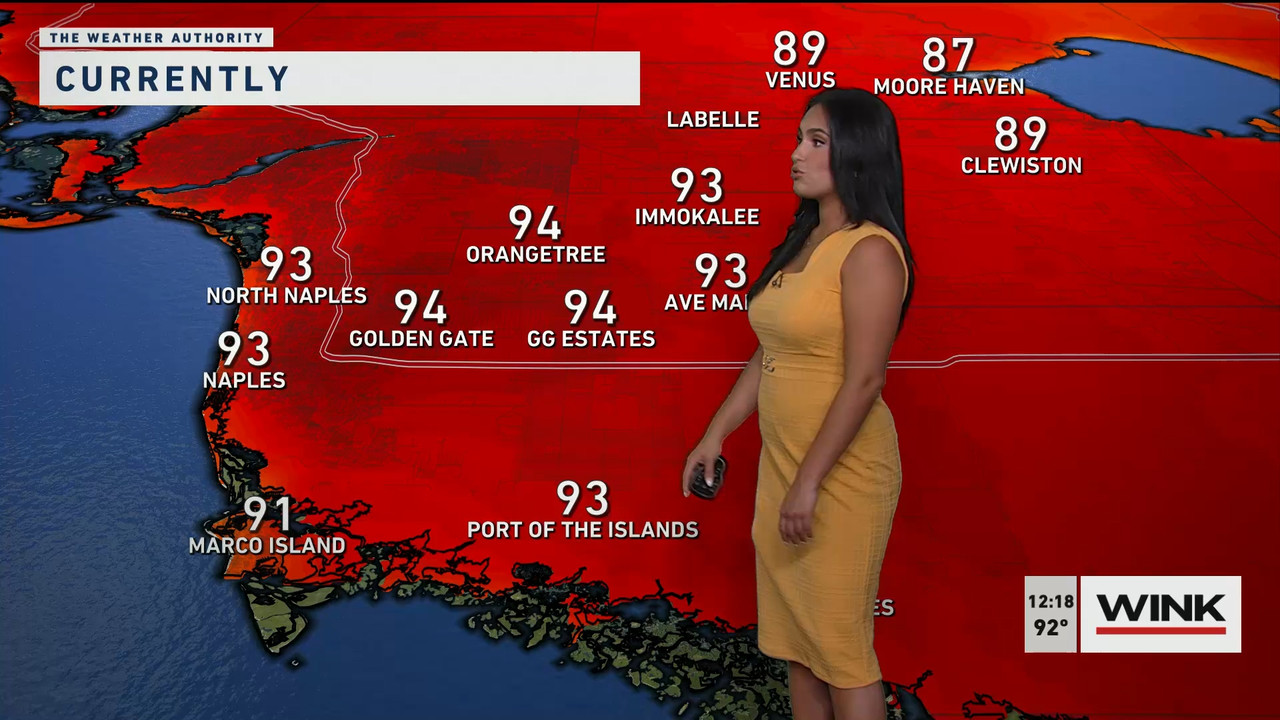 06.15 - 17.00.00 - The WINK Noon News. Midday news update..ts_snapshot_25.14.677