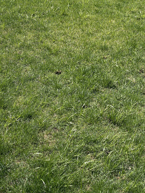 6EE11EF8-8B32-4FB3-8010-77A17A878ADB