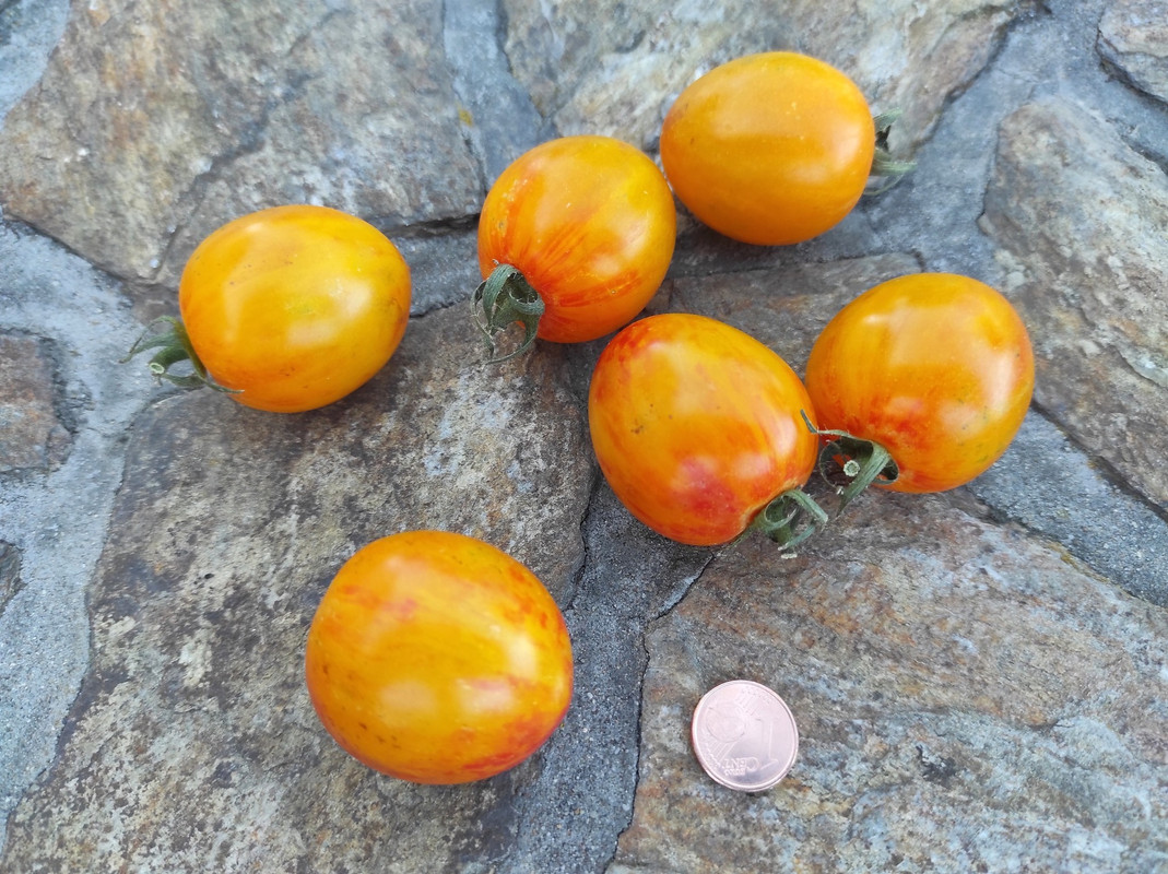 547605631_24543301245288910_6537425962479041520_n