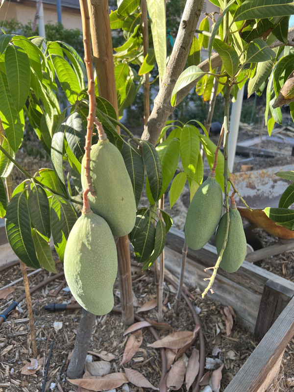 236C92FA-C432-42FB-A452-6FC0DDCD123C