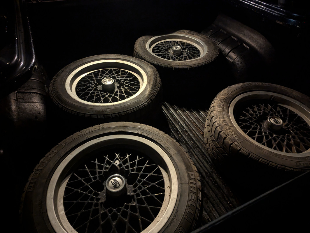 PXL_20241211_163801884