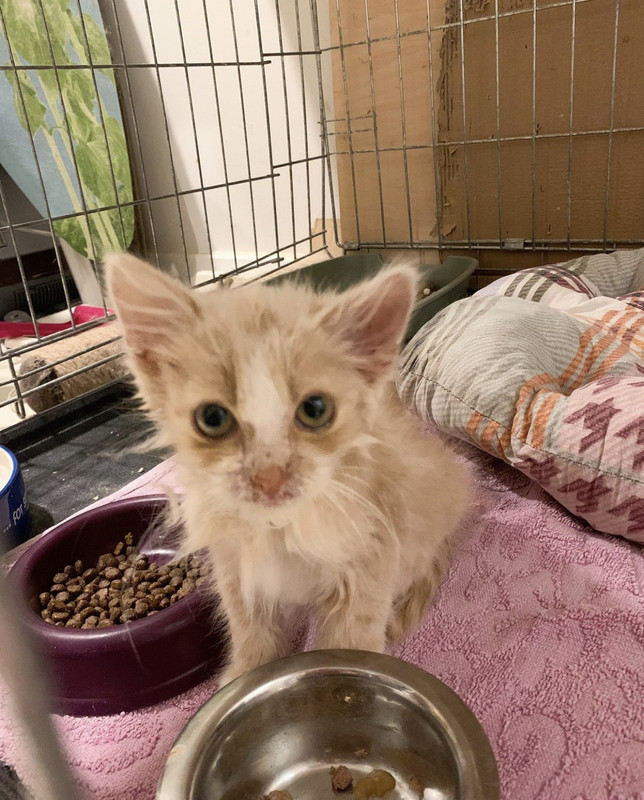 531D2E0F-4C8D-423F-B834-0E8CBD00AD72