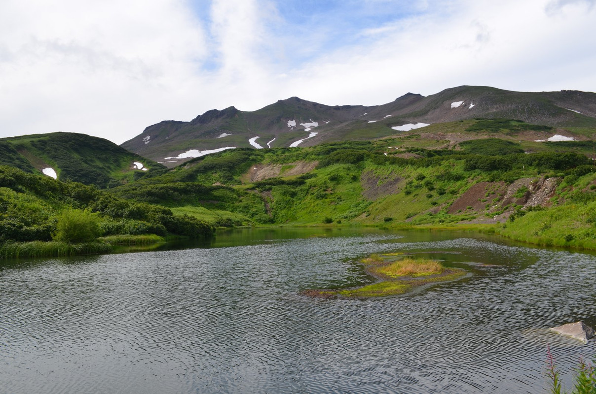 DSC-6556.jpg