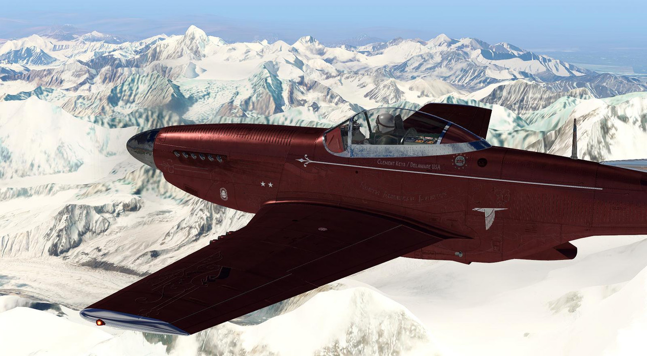 P-51D-36.jpg