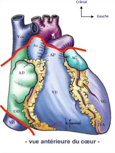 Recent - Google Drive - Google Chrome