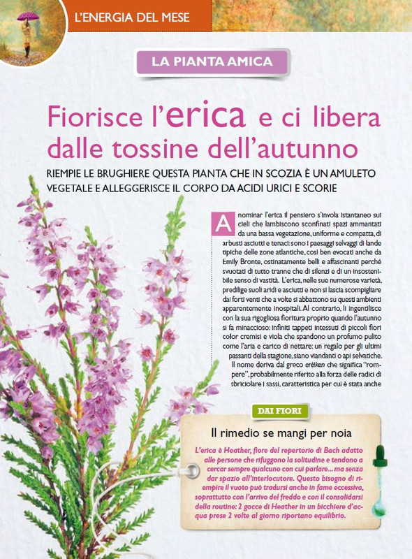 Sal Nat Nov 2021 (5)