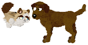 odessa 260210101634 0