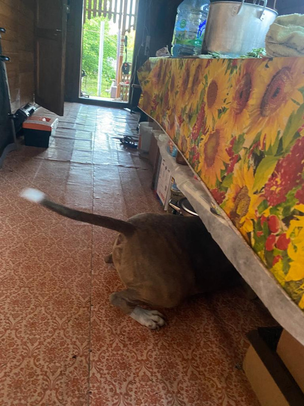 0AA58B3E-7A47-4E55-A848-62E9AC0F8211