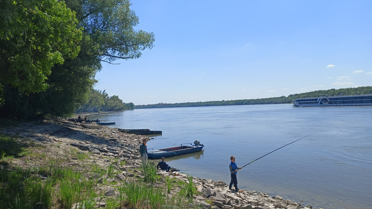 IMG20260501131530.jpg