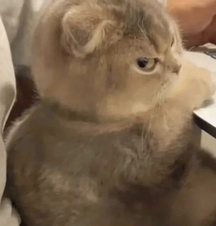 def2ed4684fae57887681a9b8bacdbcb