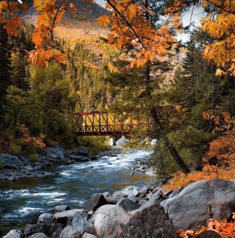 Screenshot_20231128_180941_Pinterest