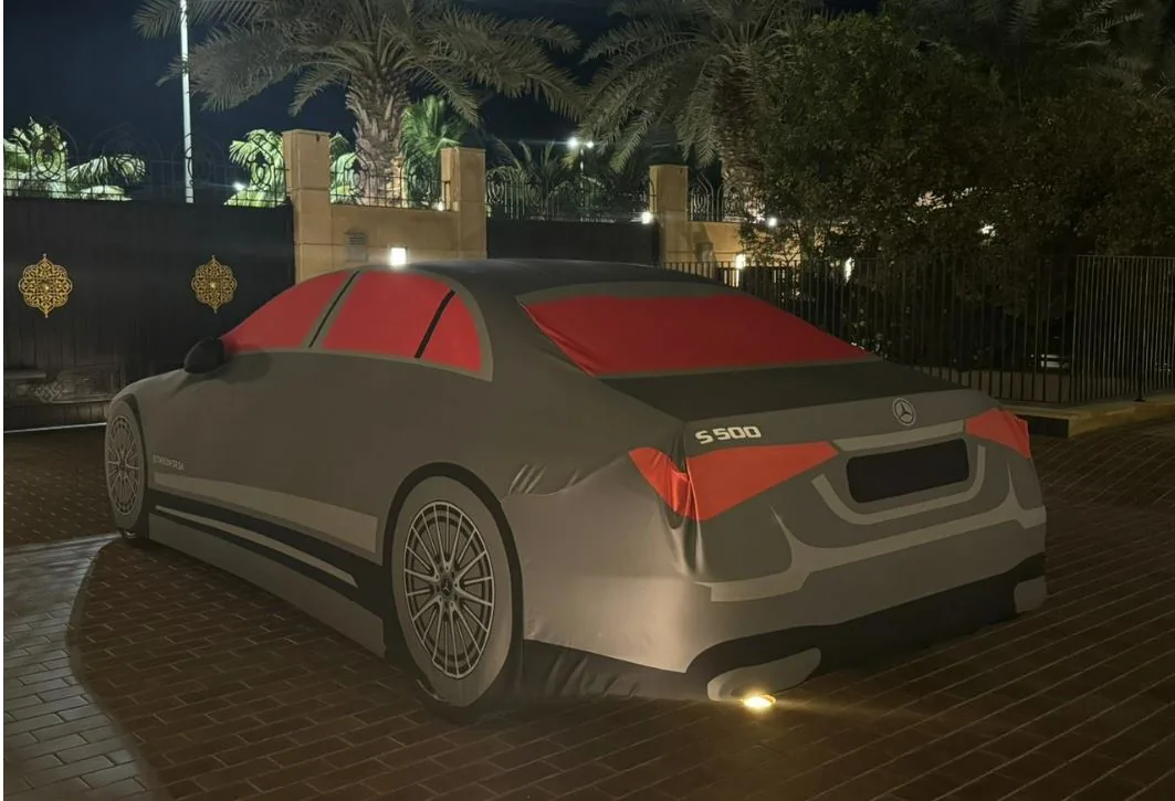 Mercedes S Class Indoor Artistic Cover