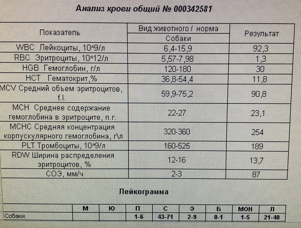 6F0DAE02-EC12-4301-9A2C-85062A83641F