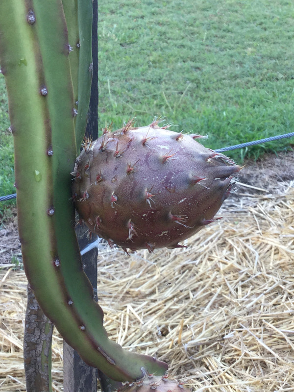 F56C7D69-0CDE-482D-858B-289399801644