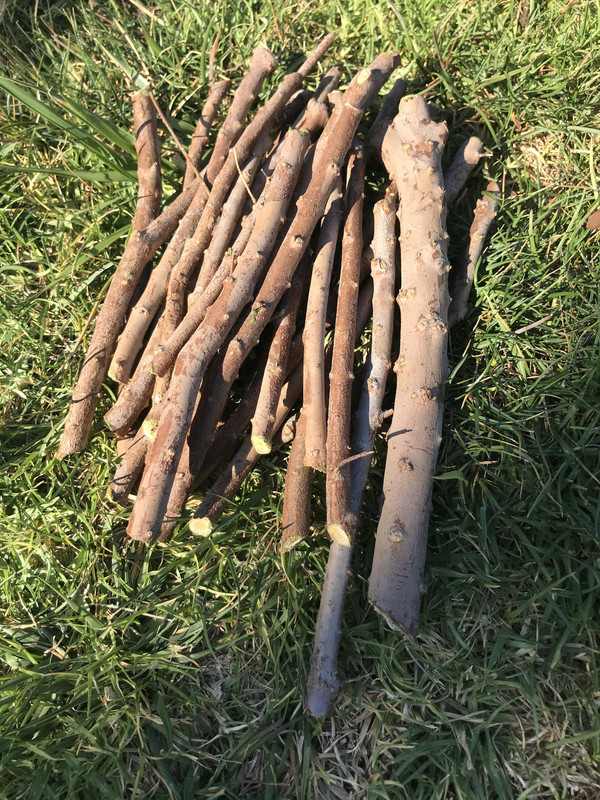 C03042DE-1280-49AA-8AC4-E3624E0D5511