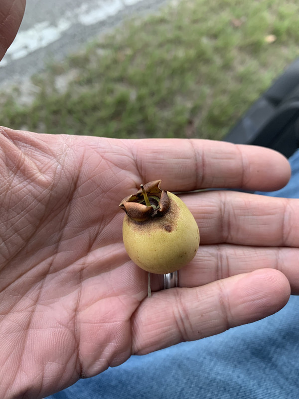 7DB2059A-F4E9-4B2E-AC7D-C75965669A68