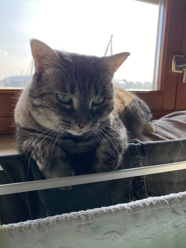 16C33A85-54EC-4032-A5DC-ACF7BF27FB52