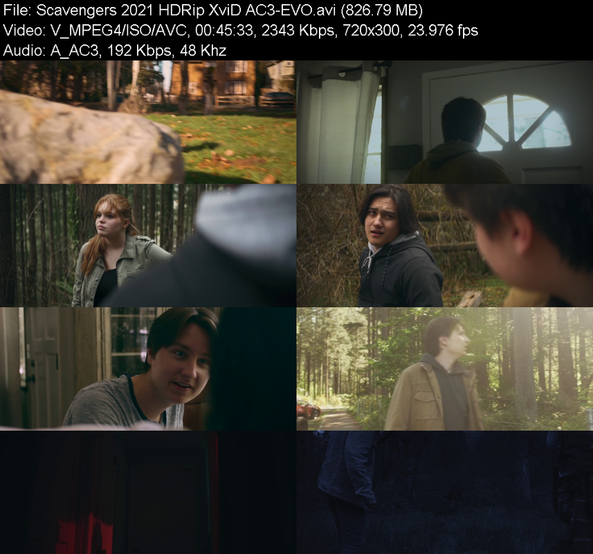 scavengers-2021-hdrip-xvid-ac3-evo.png