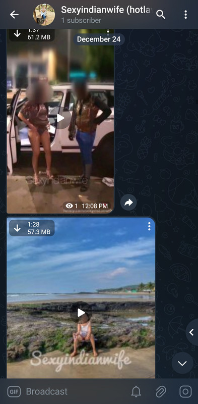 Screenshot_20241224_121346_Plus