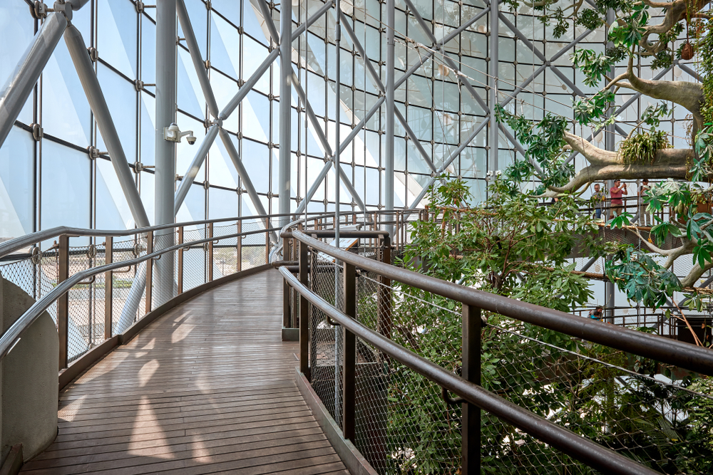 Green Dubai, Dubai How To Reach, Best Time & Tips