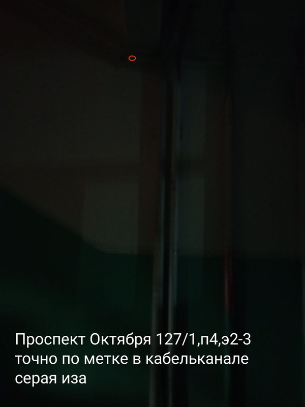 photo 2026 01 30 23 21 53