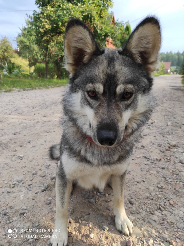 изображение_viber_2021-09-29_10-33-17-163