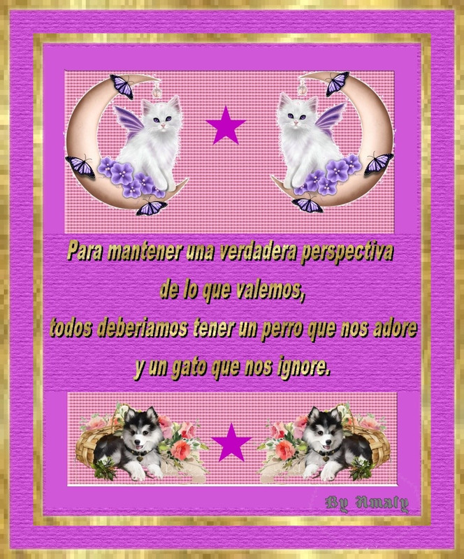 476119655 10162250500944836 5433909653746451492 n