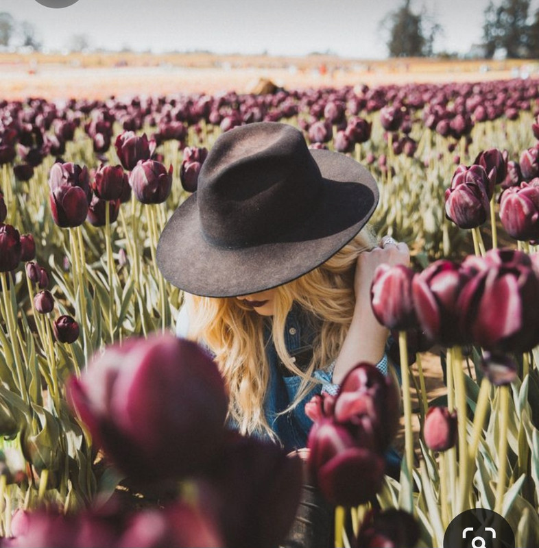 Screenshot_20230919_223949_Pinterest