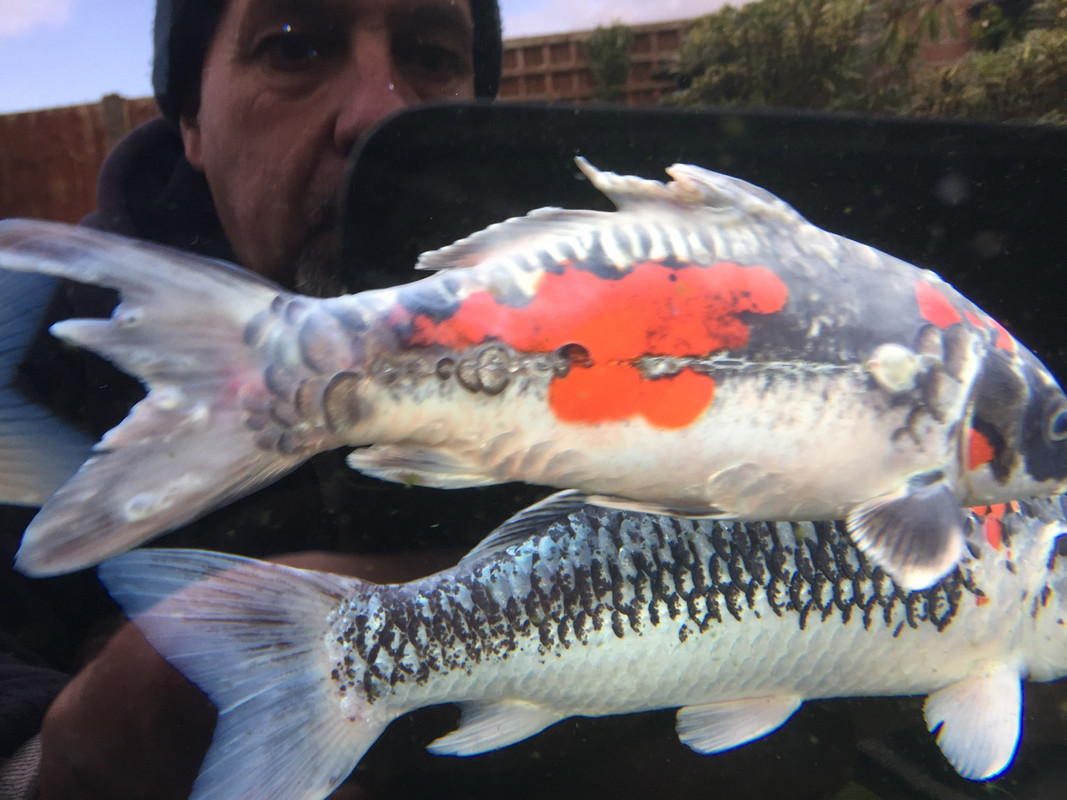 C4903D7E-0960-4883-BA20-9FC914D4D29D