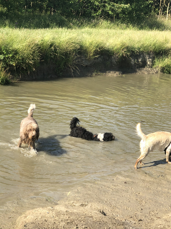 1F2E130E-3F04-429C-ABDF-BA07AA68C01A