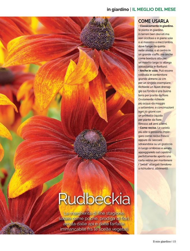 Il Mio Giar Ott-Nov 2022 (4)