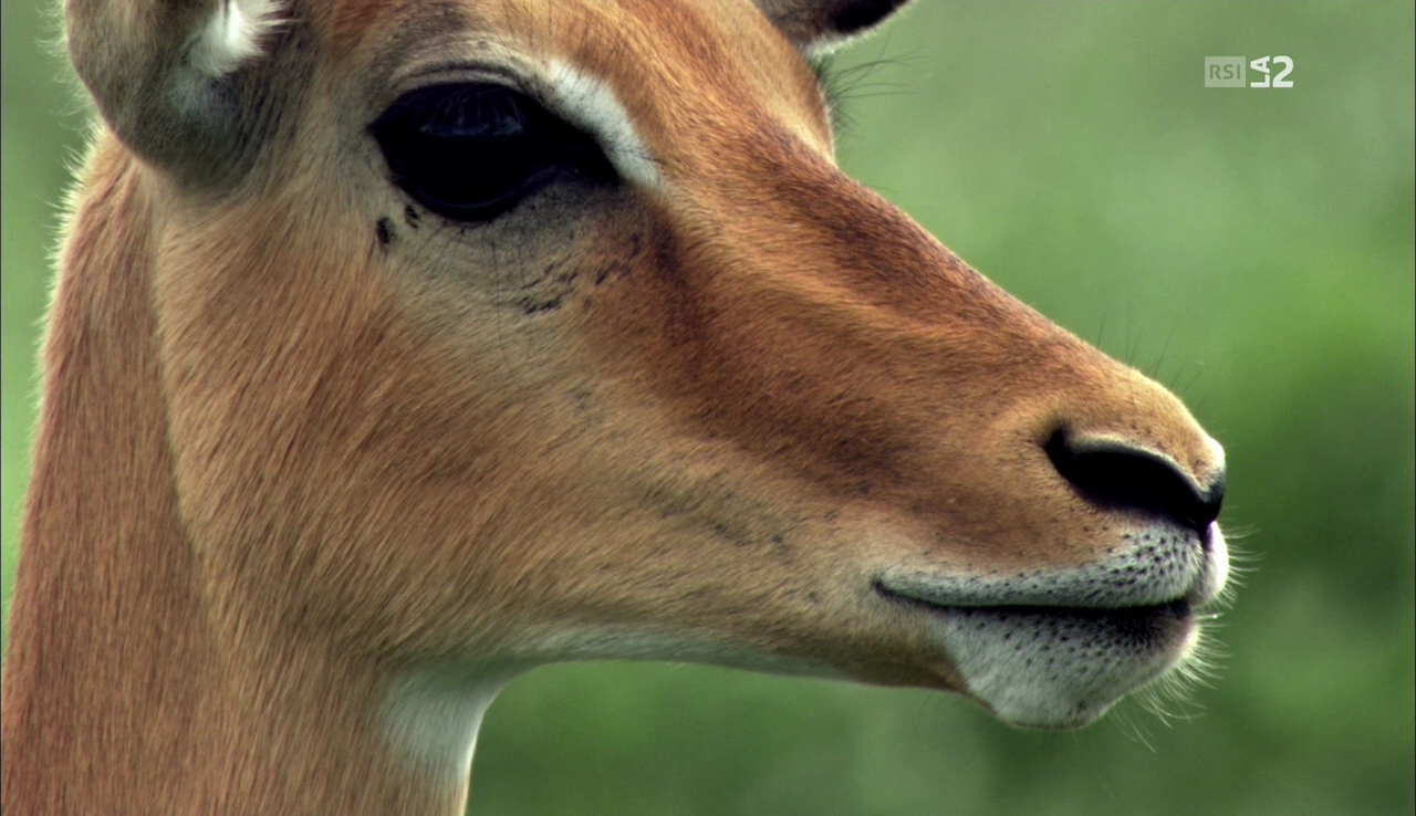 vlcsnap-2016-12-16-08h06m40s207