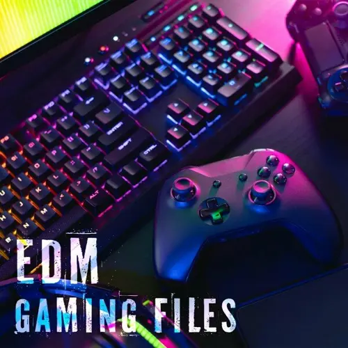 VA - EDM Gaming Files (2024)