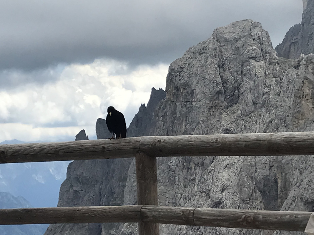 21EDF1E8-7CB0-479E-BD4C-22A0C094E618