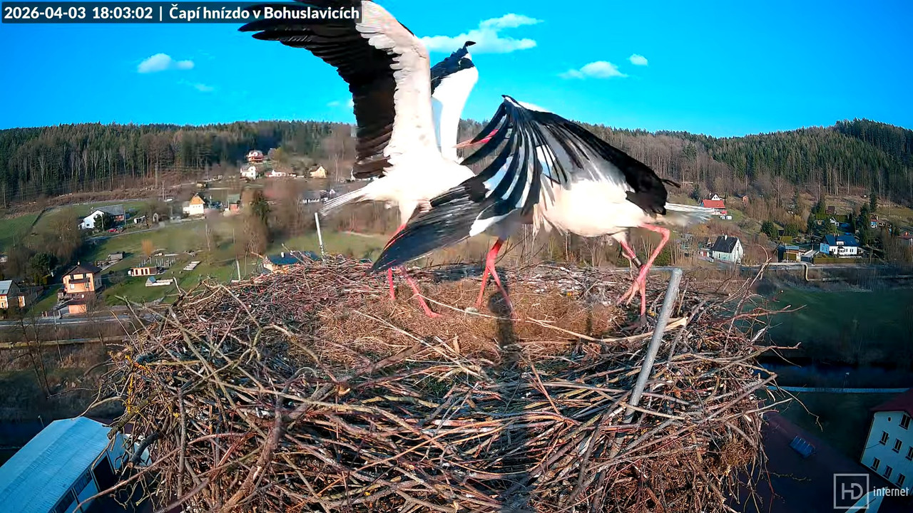 Tiešraide no KARA uzņēmuma stārķu skursteņa Bohuslavicē netālu no Trutnovas 12 32 12 screenshot (1)