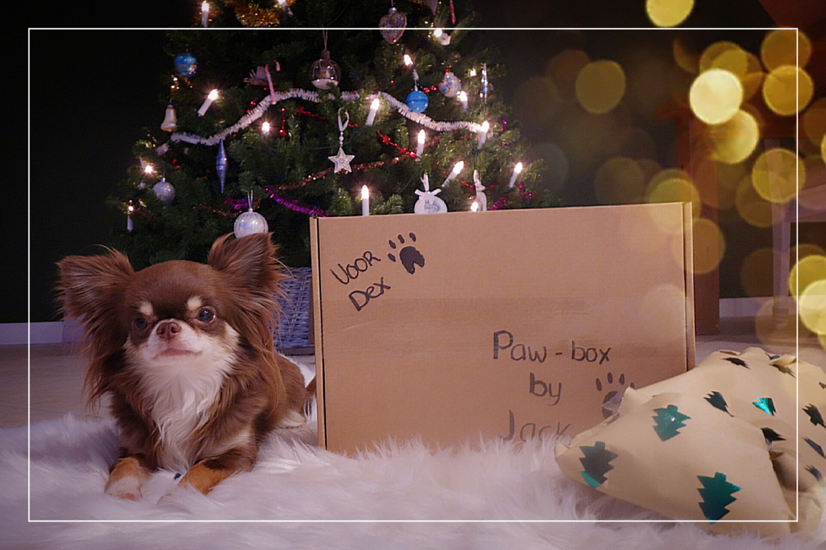 Lumii_20201223_164858628