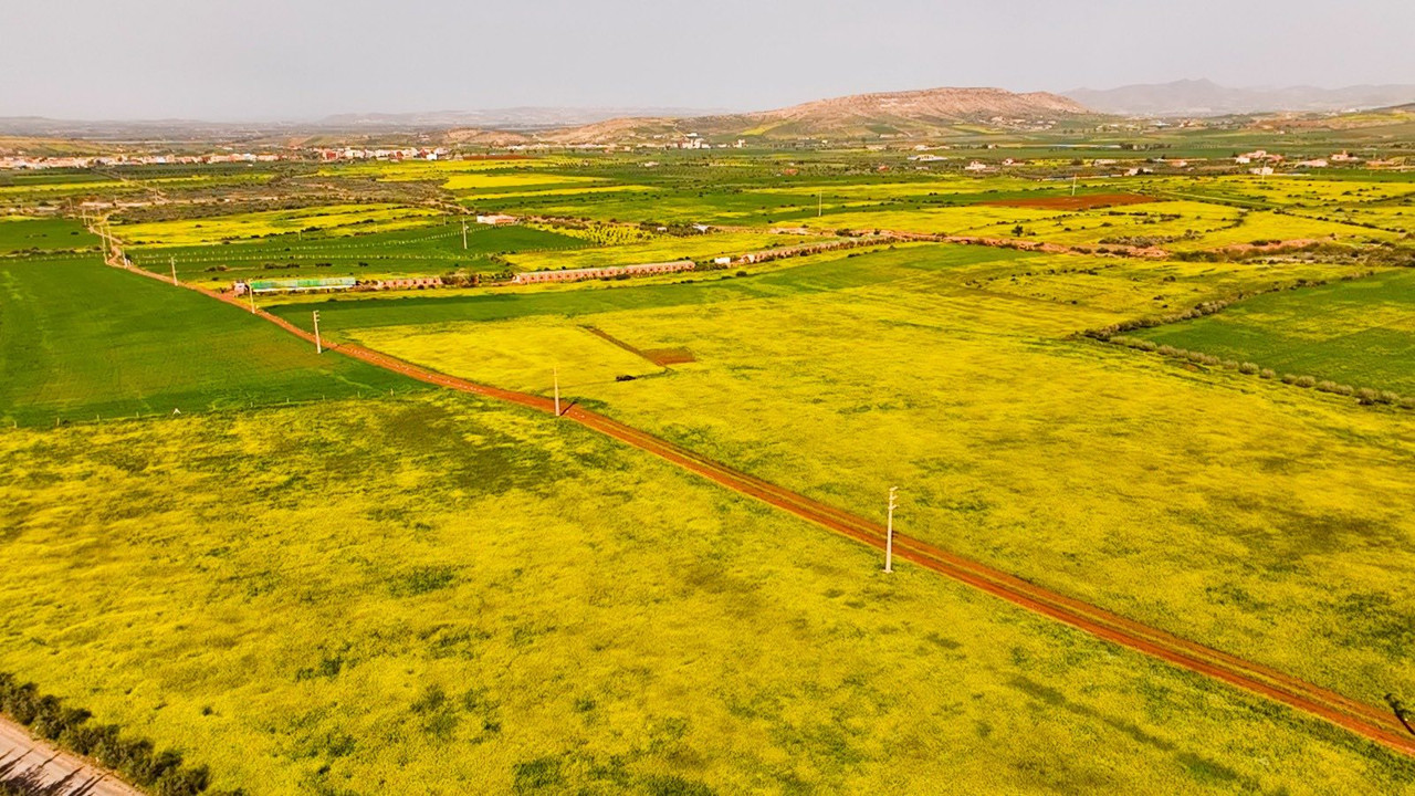 648094574-122174329532792190-6284383966830790361-n